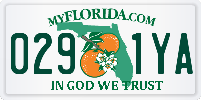 FL license plate 0291YA