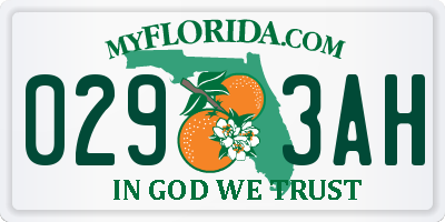 FL license plate 0293AH