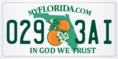 FL license plate 0293AI