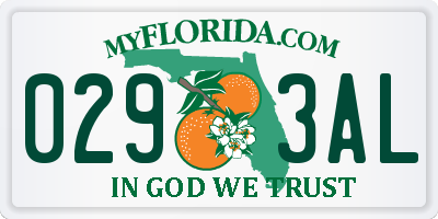 FL license plate 0293AL