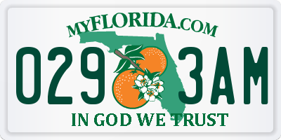 FL license plate 0293AM