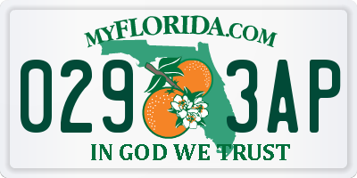 FL license plate 0293AP