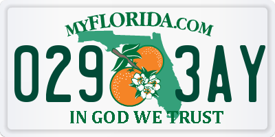 FL license plate 0293AY