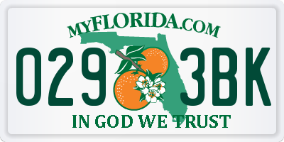FL license plate 0293BK