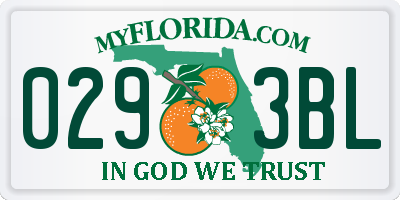 FL license plate 0293BL