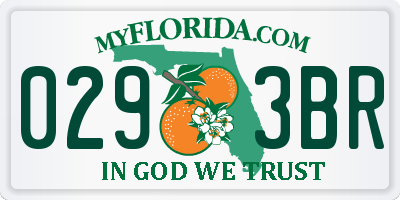 FL license plate 0293BR