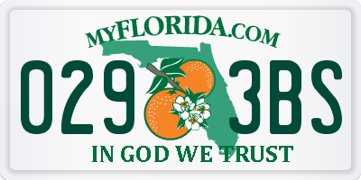 FL license plate 0293BS