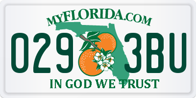 FL license plate 0293BU
