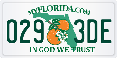 FL license plate 0293DE