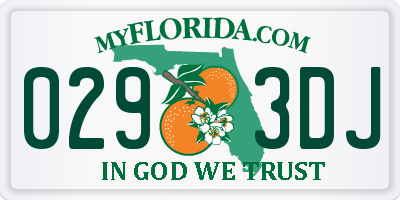 FL license plate 0293DJ