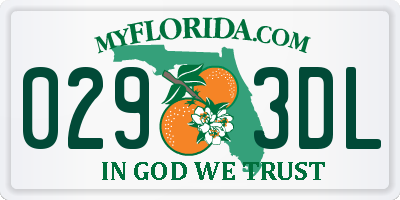 FL license plate 0293DL