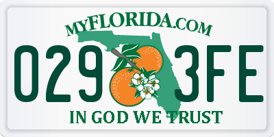 FL license plate 0293FE