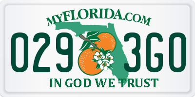 FL license plate 0293GO