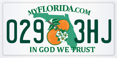 FL license plate 0293HJ