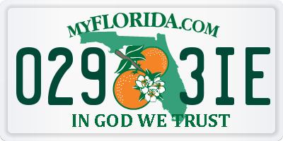 FL license plate 0293IE