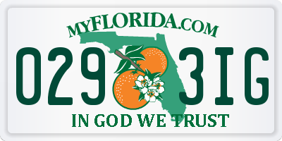 FL license plate 0293IG