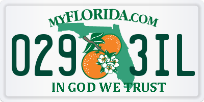FL license plate 0293IL