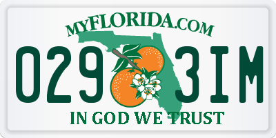 FL license plate 0293IM