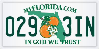 FL license plate 0293IN