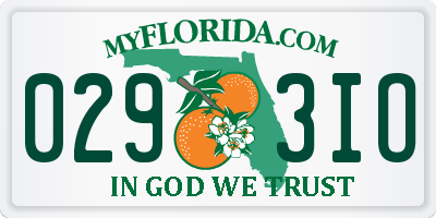 FL license plate 0293IO