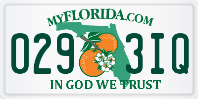 FL license plate 0293IQ