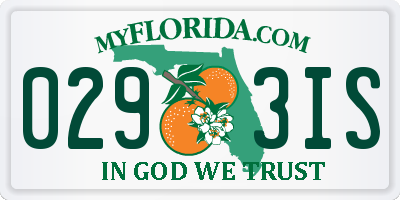 FL license plate 0293IS