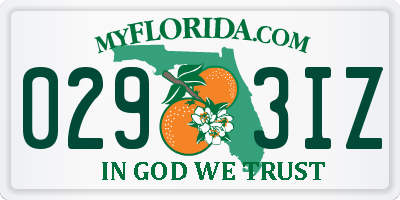 FL license plate 0293IZ