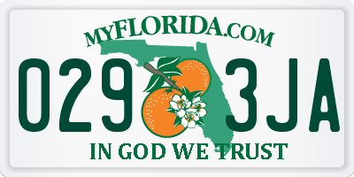 FL license plate 0293JA
