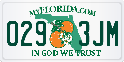 FL license plate 0293JM