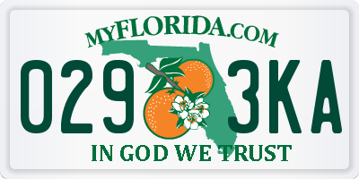 FL license plate 0293KA