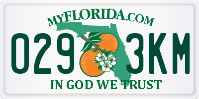 FL license plate 0293KM