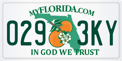 FL license plate 0293KY