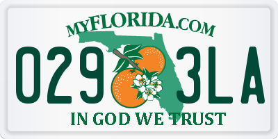 FL license plate 0293LA