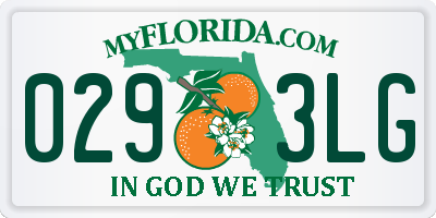 FL license plate 0293LG