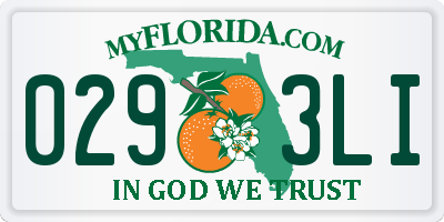FL license plate 0293LI
