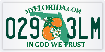 FL license plate 0293LM