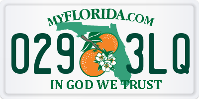 FL license plate 0293LQ