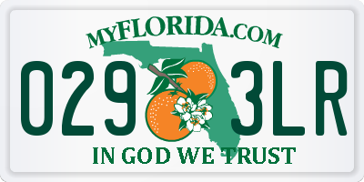 FL license plate 0293LR