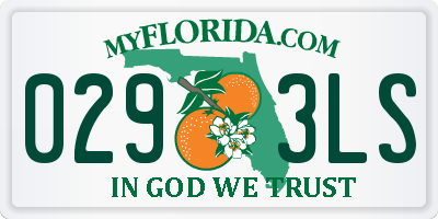 FL license plate 0293LS
