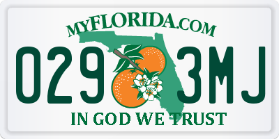 FL license plate 0293MJ