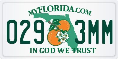 FL license plate 0293MM