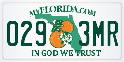 FL license plate 0293MR