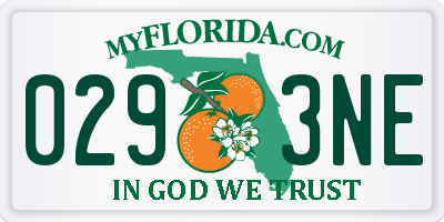FL license plate 0293NE