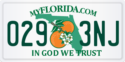 FL license plate 0293NJ