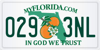 FL license plate 0293NL