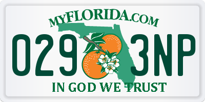 FL license plate 0293NP