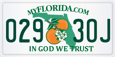 FL license plate 0293OJ