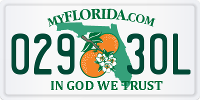 FL license plate 0293OL