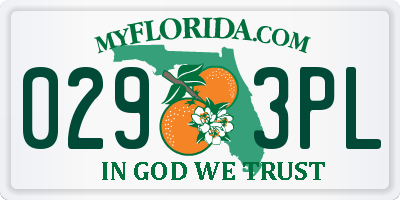 FL license plate 0293PL