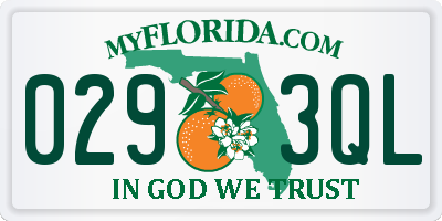 FL license plate 0293QL